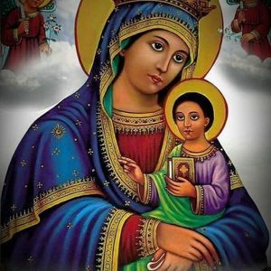 Meet your Posher, Elisa